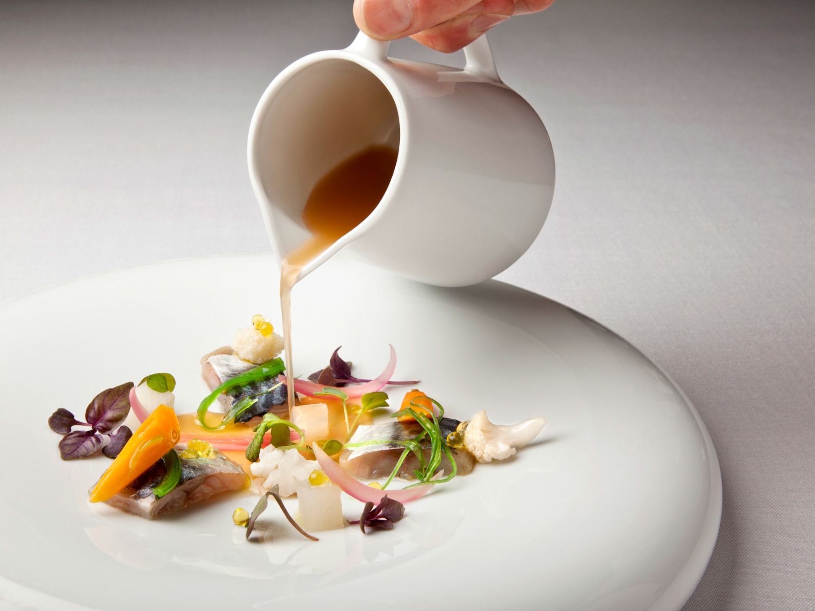 sashimi de caballa de casamar maridaje bodegas torres
