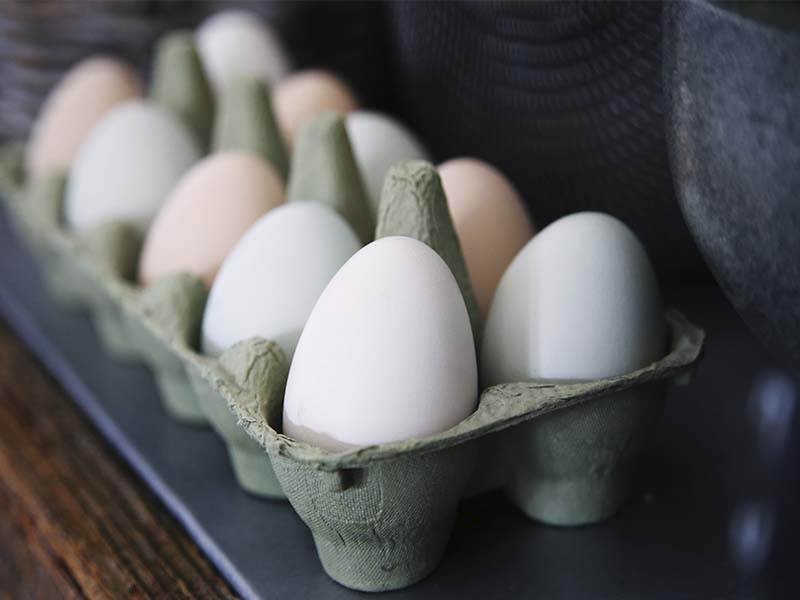 huevos