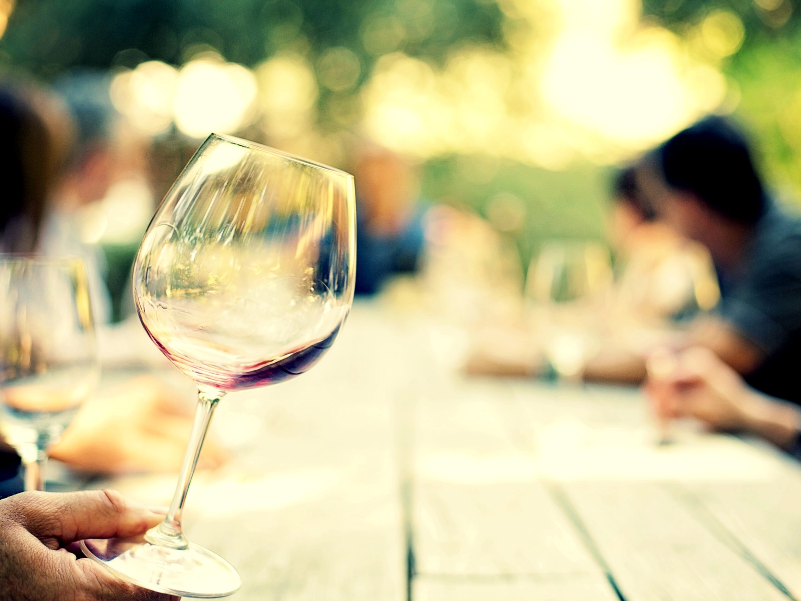saber de vinos